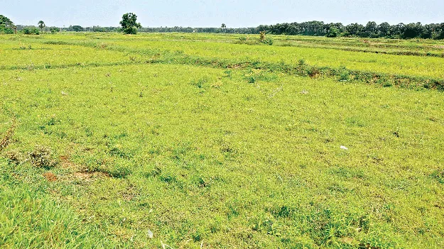 Measures to Protect Land భూముల రక్షణకు చర్యలు