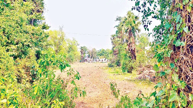 Will They Dilute It?  నీరుగార్చేస్తారేమో? 