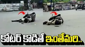 నడి రోడ్డుపై ఈ మందుబాబు నిర్వాకం చూస్తే అవాక్కవ్వాల్సిందే.. 