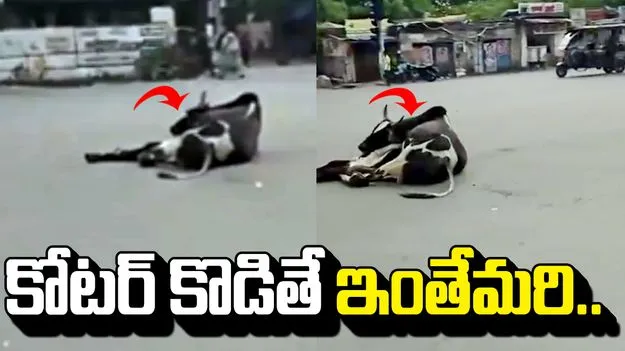 నడి రోడ్డుపై ఈ మందుబాబు నిర్వాకం చూస్తే అవాక్కవ్వాల్సిందే.. 