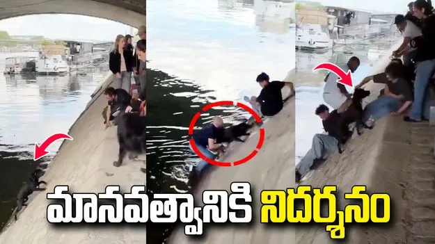 మానవత్వానికి నిదర్శనం: నదిలో పడిపోయిన కుక్క కోసం ఒక్కటైన జనం.. వీడియో వైరల్