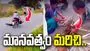గాయపడిన నెమలికి సాయం చేయాల్సింది పోయి.. ఈకలు పీకేశారు..
