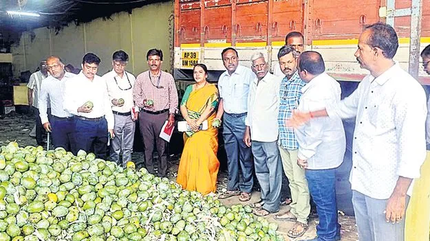 Mango: స్థిరమైన మామిడి వినియోగమే సమస్యకు పరిష్కారం 