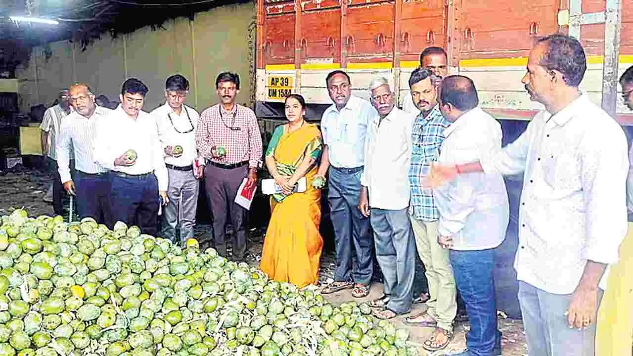 Mango: స్థిరమైన మామిడి వినియోగమే సమస్యకు పరిష్కారం