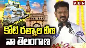 రాచరికం, పెత్తనాన్ని తెలంగాణ సమాజం సహించదు: సీఎం రేవంత్‌రెడ్డి