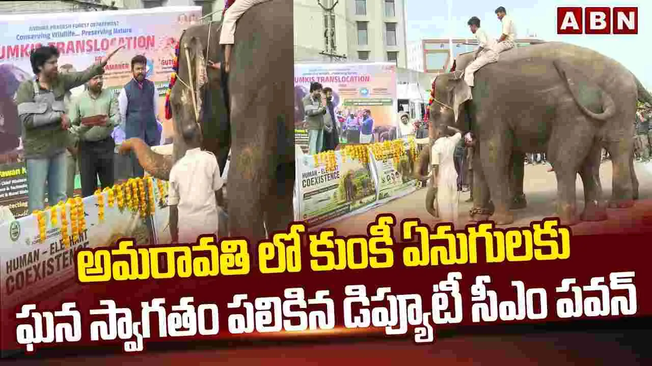 కుంకీ ఏనుగులకు ఘన స్వాగతం పలికిన పవన్ కల్యాణ్  