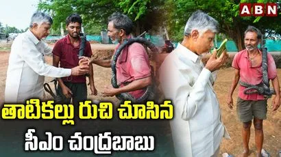 తాటికల్లు రుచి చూసిన సీఎం చంద్రబాబు 