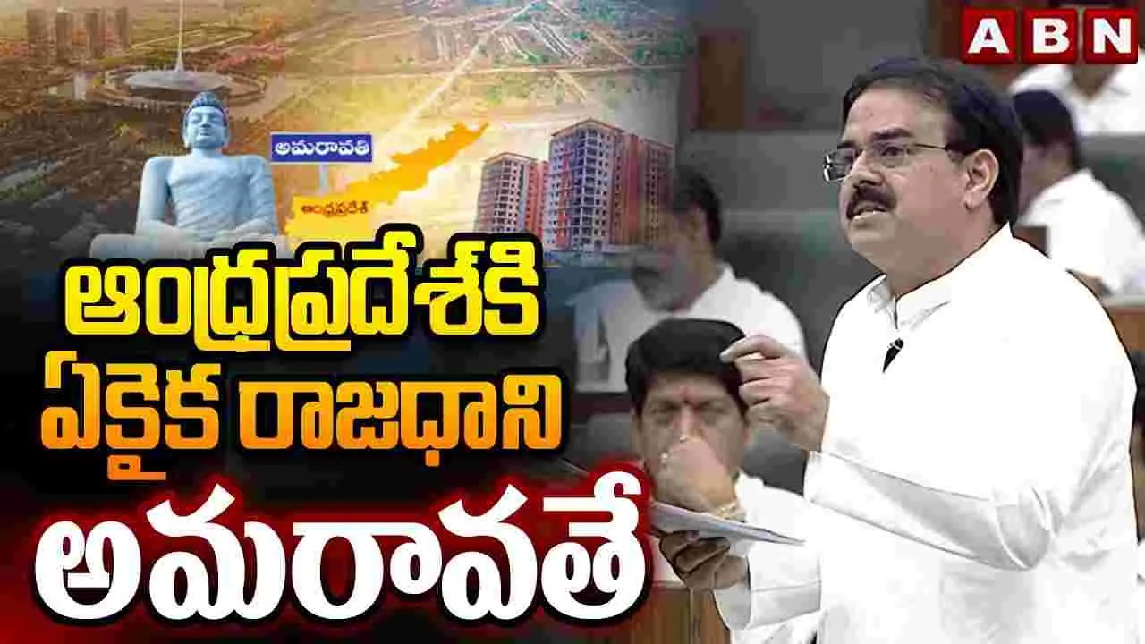 ఆంధ్రప్రదేశ్‌కు ఏకైక రాజధాని అమరావతే