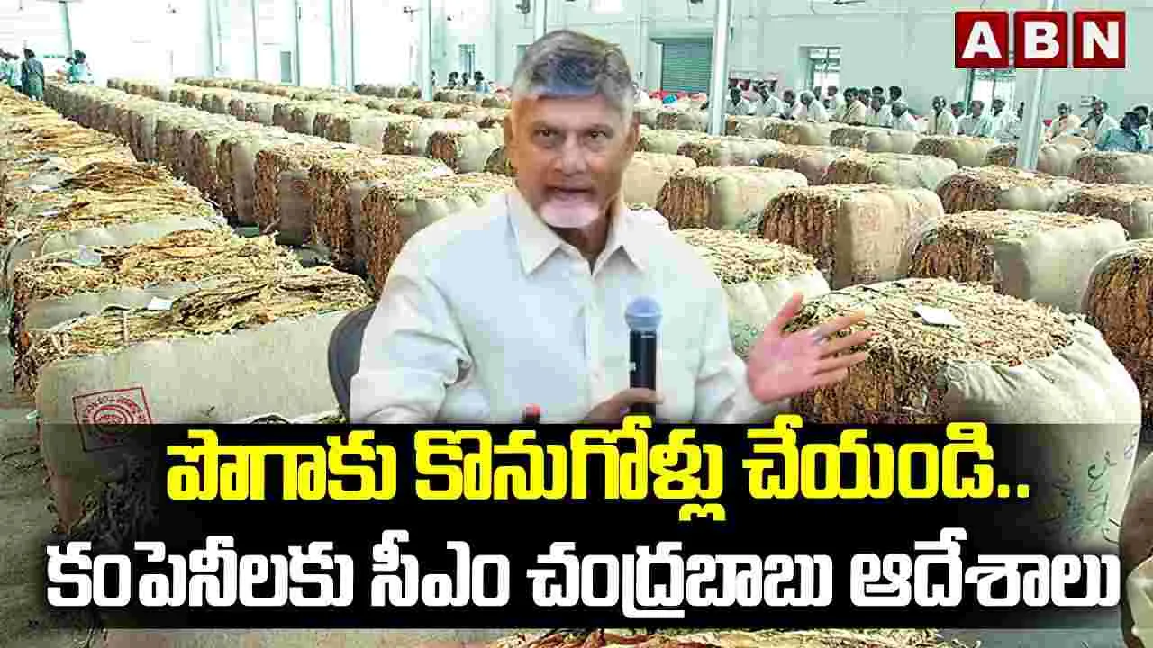 పొగాకు కొనుగోళ్లు చేయండి..కంపెనీలకు సీఎం చంద్రబాబు ఆదేశాలు