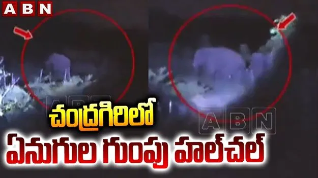 చిత్తూరు జిల్లాలో ఏనుగుల బీభత్సం.. వరి, టమాటా పంటల ధ్వంసం