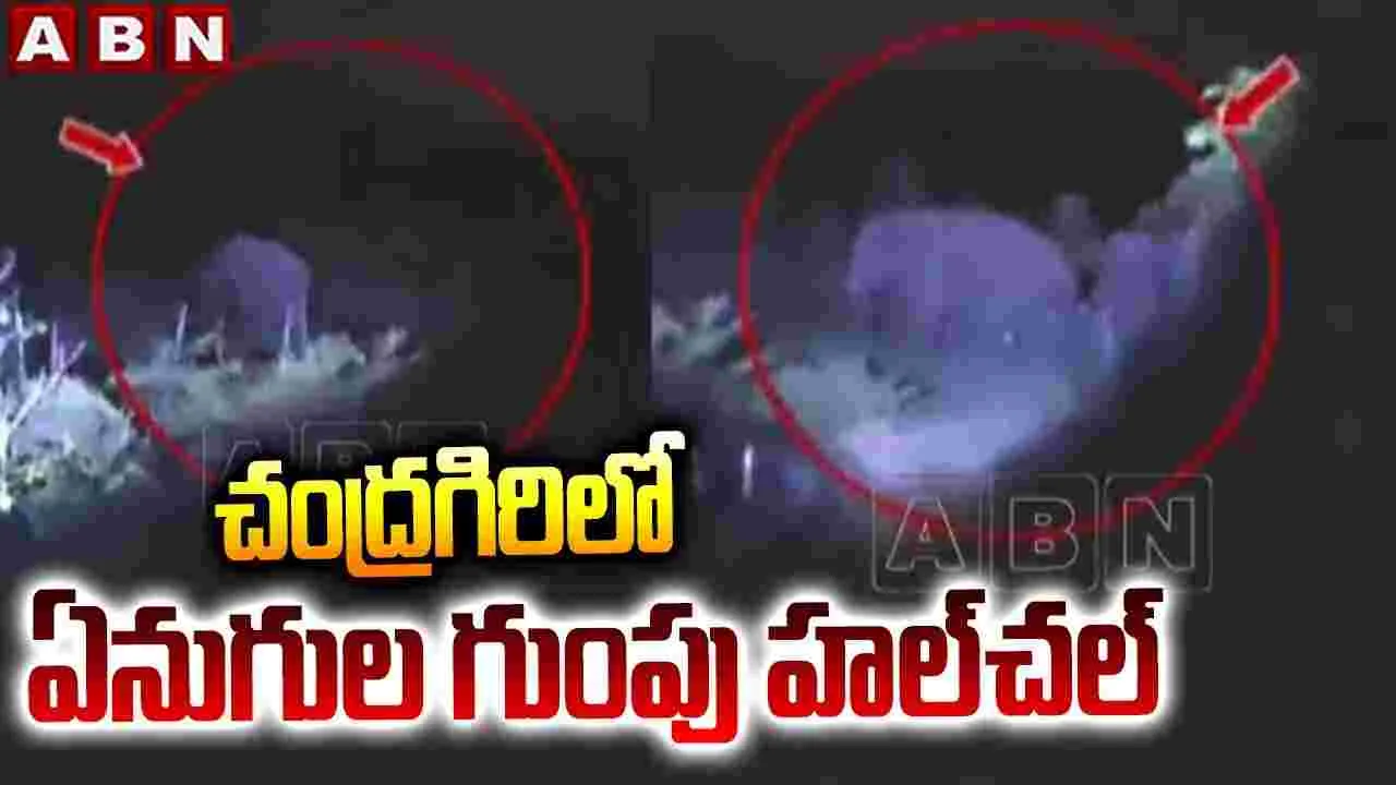 చిత్తూరు జిల్లాలో ఏనుగుల బీభత్సం.. వరి, టమాటా పంటల ధ్వంసం