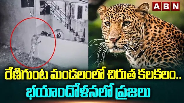 తిరుపతిలో చిరుత కలకలం.. ఇంట్లోకి చొరబడేందుకు యత్నం.. వీడియో వైరల్