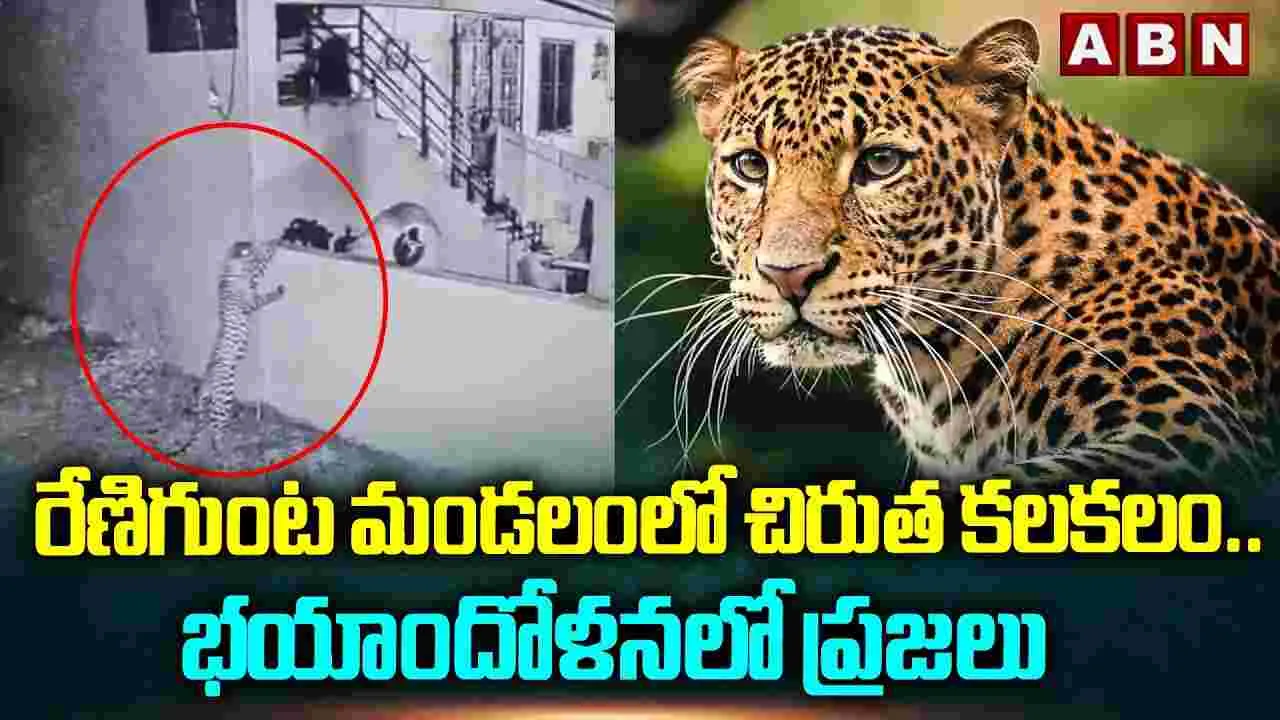 తిరుపతిలో చిరుత కలకలం.. ఇంట్లోకి చొరబడేందుకు యత్నం.. వీడియో వైరల్