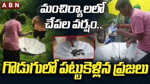 మంచిర్యాల జిల్లాలో ఆకాశం నుంచి కిందపడిన చేపలు.. వీడియో వైరల్