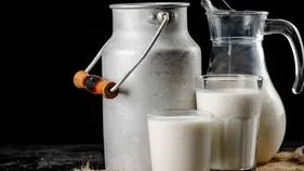 రాజమండ్రిలో మరోసారి బయటపడ్డ పాల కల్తీ