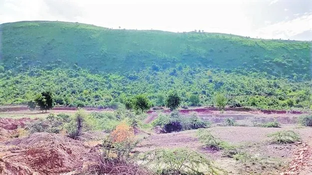 ఆ మైనింగ్‌ డాన్‌కు అడ్డెవ్వరు