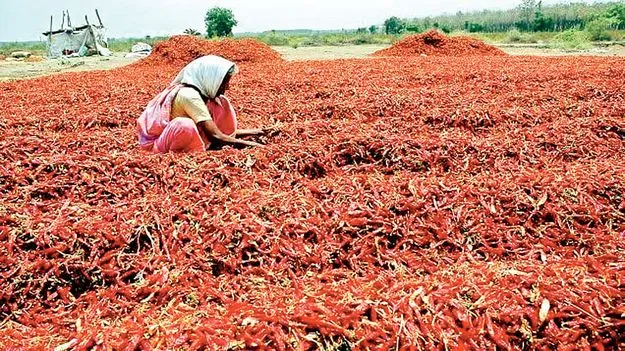    కష్టాల మిర్చి 