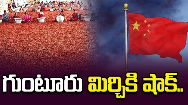 గుంటూరు మిర్చికి చైనా షాక్‌.. మూడు కంటైనర్ల తిరస్కరణ