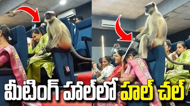 ప్రభుత్వ వర్క్‌షాప్‌లో కొండముచ్చు హల్‌చల్.. వీడియో వైరల్