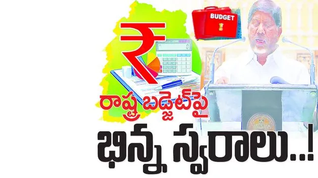 రాష్ట్ర బడ్జెట్‌పై భిన్న స్వరాలు...!