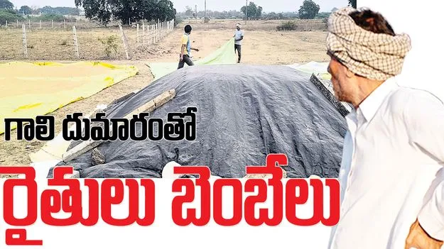 గాలి దుమారంతో రైతులు బెంబేలు