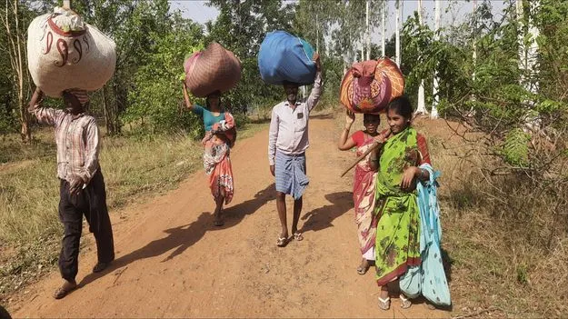 నిరాశలో తునికాకు కూలీలు