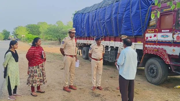 ఆగని విత్తన దందా...