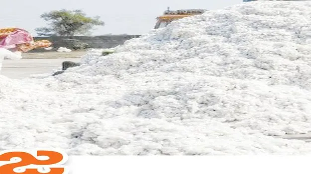 పత్తి సేకరణలో సీసీఐ వెనుకంజ...