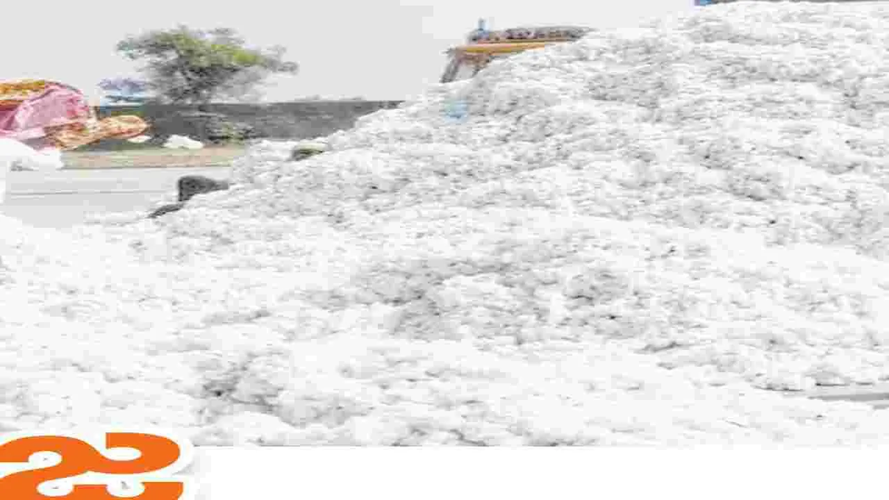 పత్తి సేకరణలో సీసీఐ వెనుకంజ...