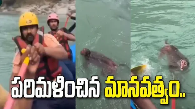 నదిలో కొట్టుకుపోతున్న కోతిని కాపాడిన రాఫ్టింగ్ బృందం.. వీడియో వైరల్