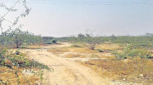 పంట పొలాలకు సర్కారు బాటలు