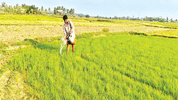 No Water for Paddy Nurseries! నారుకు నీరందట్లే!