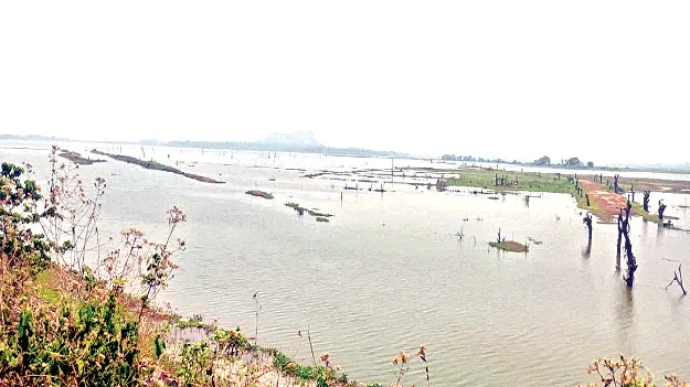   Thotapalli   తోటపల్లిలో నీటి నిల్వలు తగ్గుముఖం