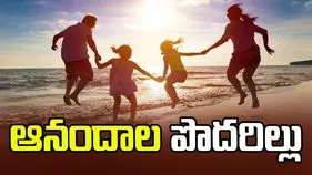 ఆనందాల పొదరిల్లు 