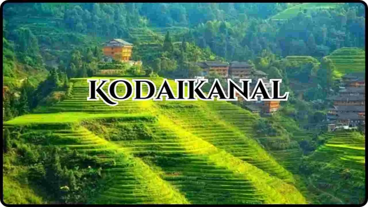 కొడైకెనాల్‌ పర్యాటక ప్రాంతాలకు ఉచిత ప్రవేశం