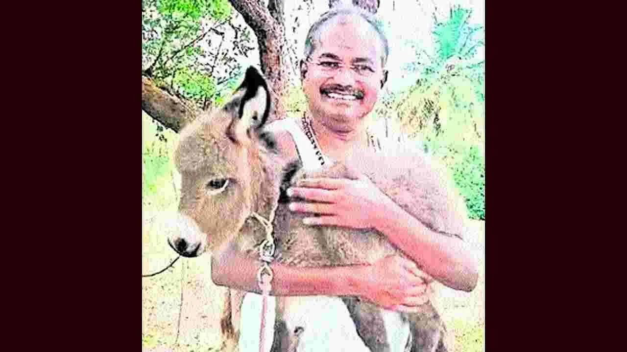 గాడిదలు మేపుతున్న పీఎంకే మాజీ ఎమ్మెల్యే