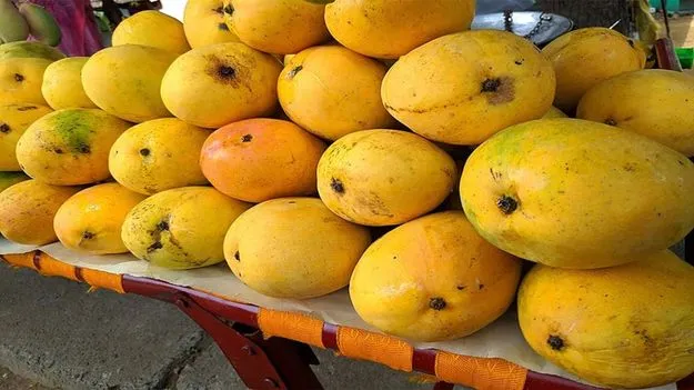   తగ్గిన మామిడి ధరలు