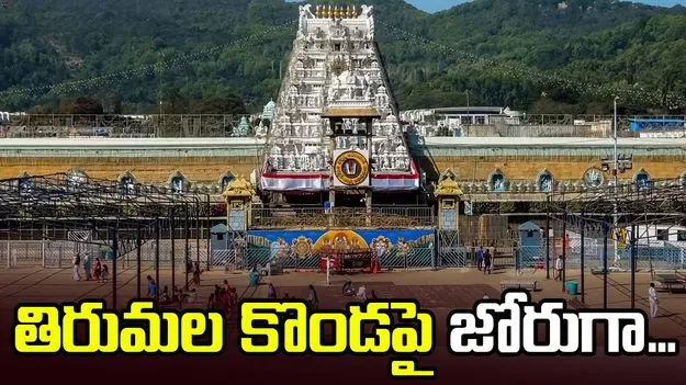 తిరుమల కొండపై జోరుగా కడియాల వ్యాపారం