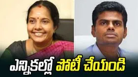 ఎన్నికల్లో పోటీ చేయండి