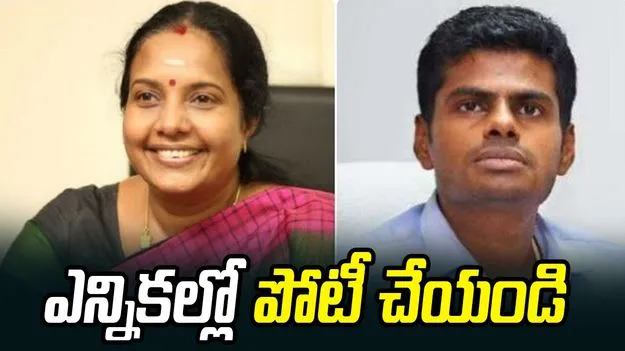 ఎన్నికల్లో పోటీ చేయండి