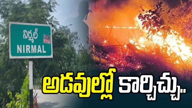 నిర్మల్ జిల్లాలోని అడవుల్లో కార్చిచ్చు.. ఎగసిపడతున్న మంటలు