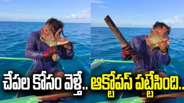 జాలరి ముఖాన్ని చుట్టేసిన ఆక్టోపస్‌.. వీడియో వైరల్