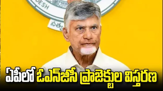 ఏపీ సీఎం చంద్రబాబుతో ఓఎన్‌జీసీ చైర్మన్ భేటీ.. ఇంధన రంగ విస్తరణపై చర్చలు
