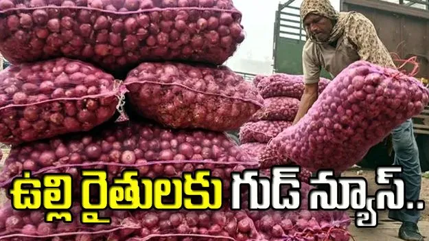 ఉల్లి రైతులకు కేంద్రం గుడ్ న్యూస్.. కనీస మద్దతు ధర పెంపు