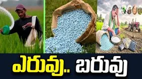 ఎరువు.. బరువు... ఒక్కసారిగా ధరలకు రెక్కలు