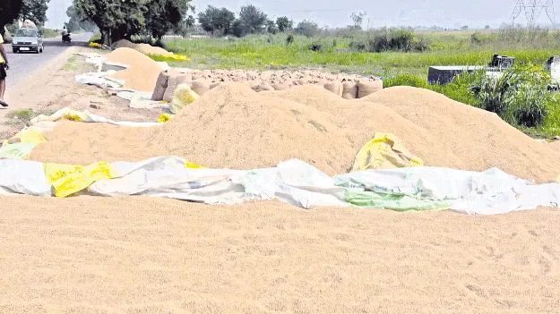 ధాన్యం.. దైన్యం