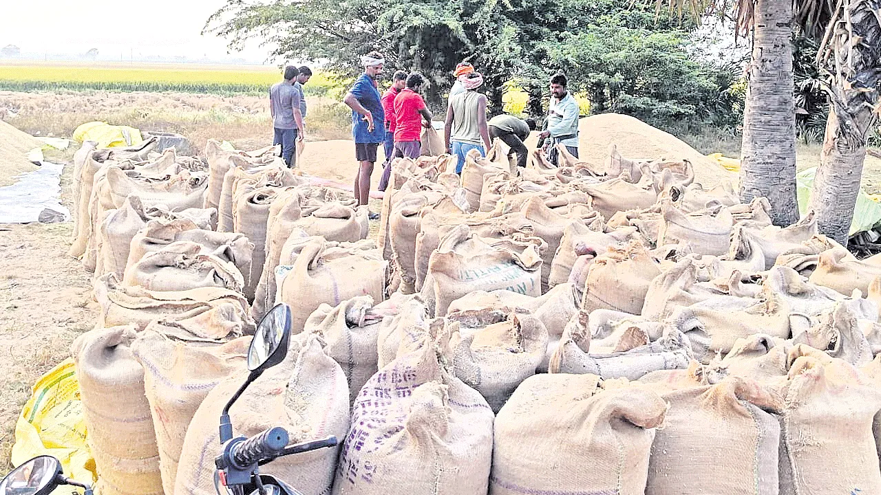 ధాన్యం కొనుగోళ్లకు ఏర్పాట్లు పూర్తి