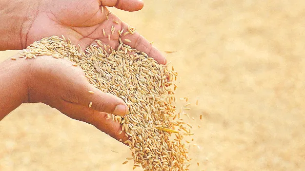 ఖరీఫ్‌లో ఆరు.. రబీలో ఆరు