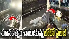 ముంబై వర్షాల్లో ట్రాక్‌పై ఉన్న కుక్కను రక్షించిన లోకో పైలట్.. వీడియో వైరల్