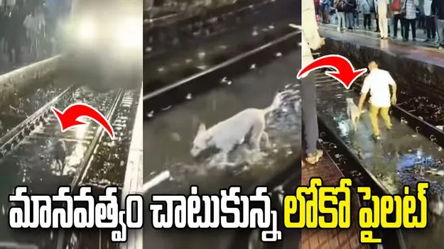 ముంబై వర్షాల్లో ట్రాక్‌పై ఉన్న కుక్కను రక్షించిన లోకో పైలట్.. వీడియో వైరల్